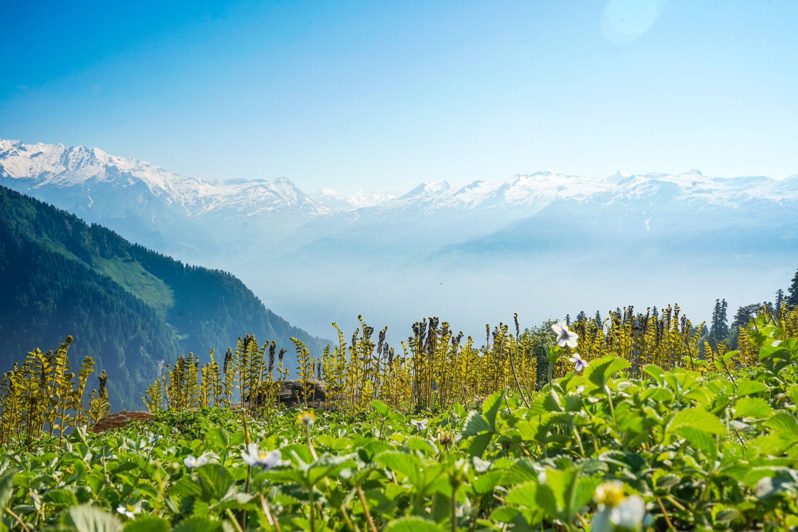 Kashmir Mountains