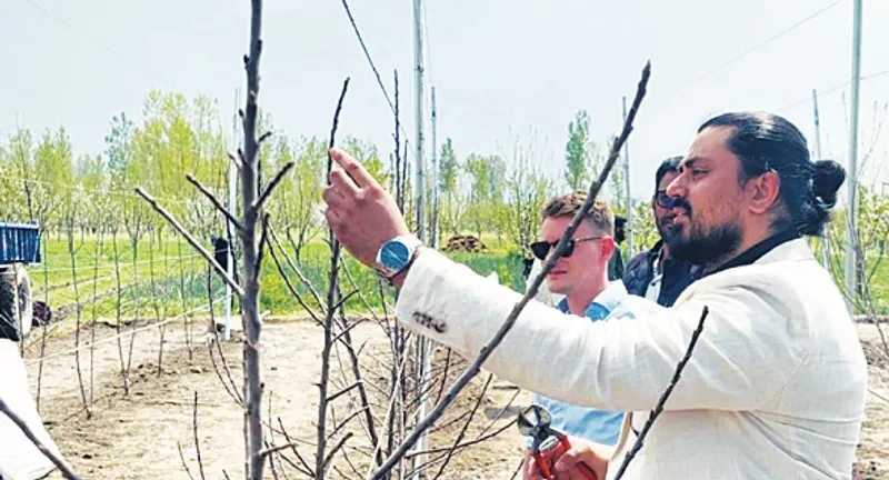 Humayun Shabir's Farm
